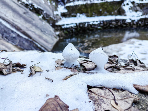 積雪