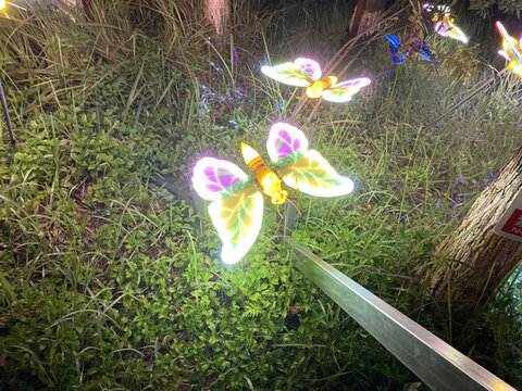 蝴蝶燈