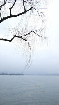 杭州西湖冬季柳樹(shù)素材