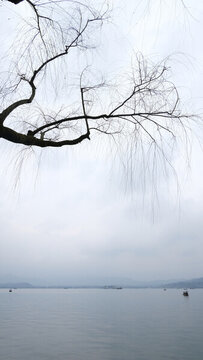 杭州西湖冬季柳樹(shù)素材