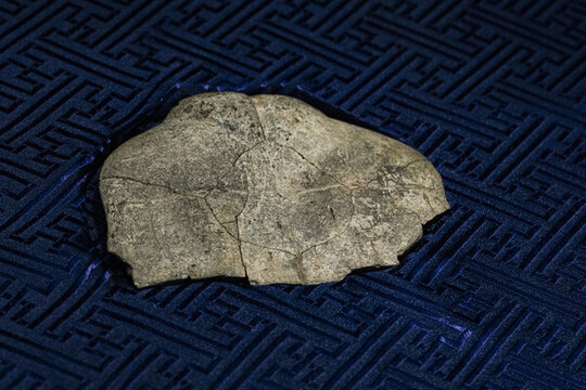 商代乙卯祀畀等字刻辭龜甲