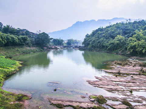 龍沱