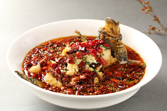 麻辣桂魚