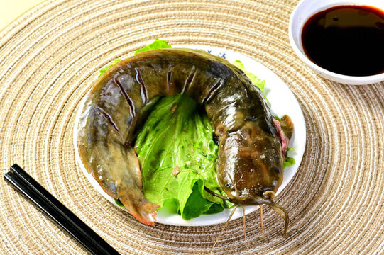 一條塘角魚(yú)