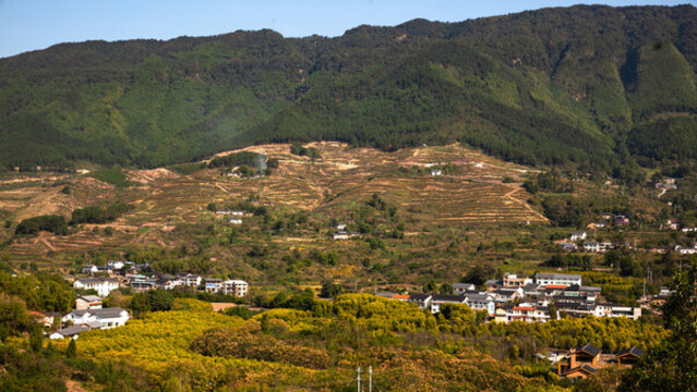 鄉(xiāng)村