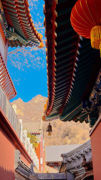 仰望寺廟中的天空