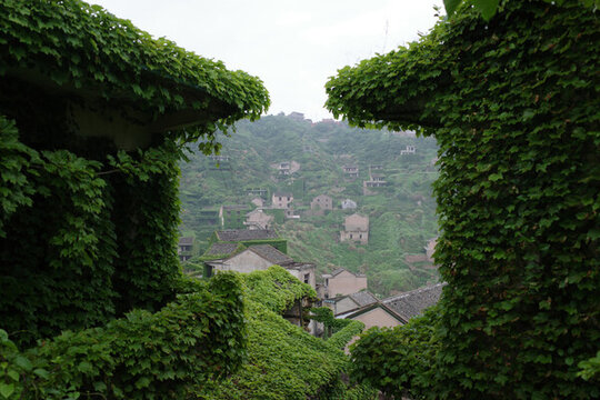 嵊泗島綠植覆蓋的荒村