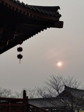 夕陽(yáng)荷花燈