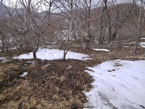 岫安古道廟宇墻遺跡