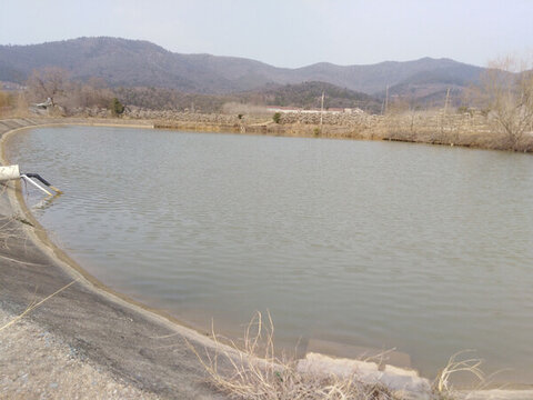 池塘岸邊