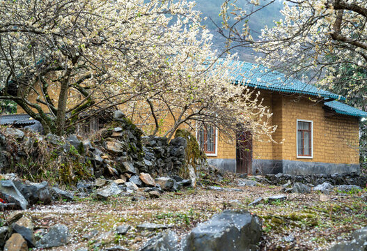 鄉(xiāng)村土坯房子