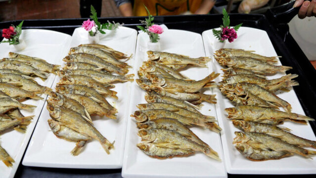 刁子魚