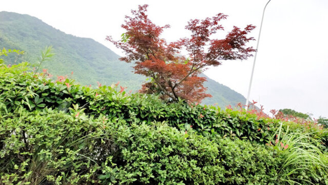 城鎮(zhèn)風(fēng)光