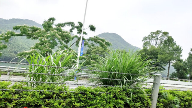 城鎮(zhèn)風光