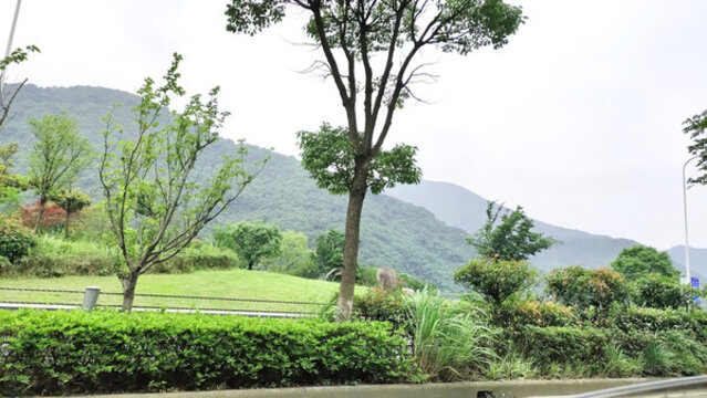 城鎮(zhèn)風景