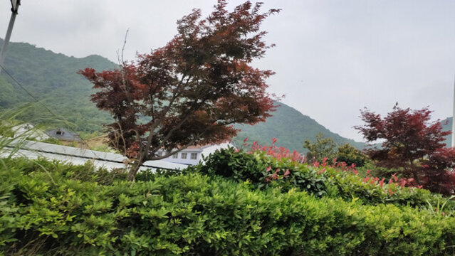 城市風(fēng)景