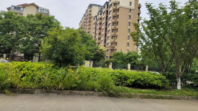 城市道路