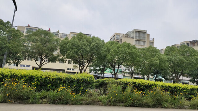 城市綠化