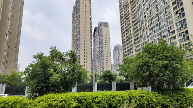 城市綠化