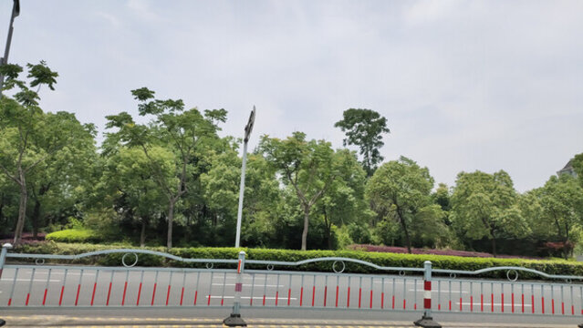 城市綠化