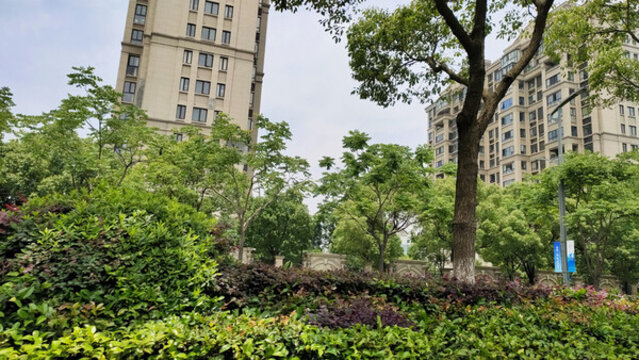 城市風景