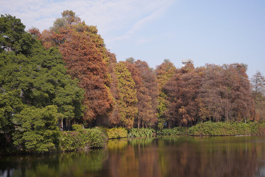 廣州流花湖公園