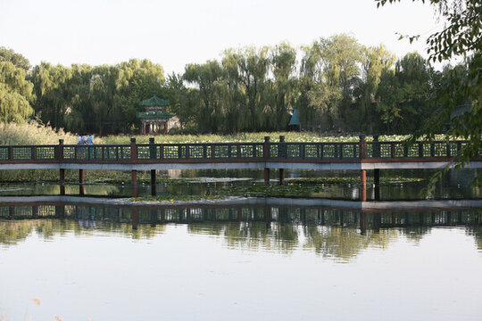 棧橋