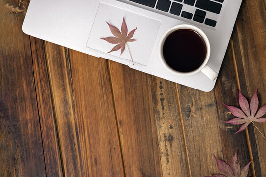辦公場景創(chuàng)意秋天深秋圖片