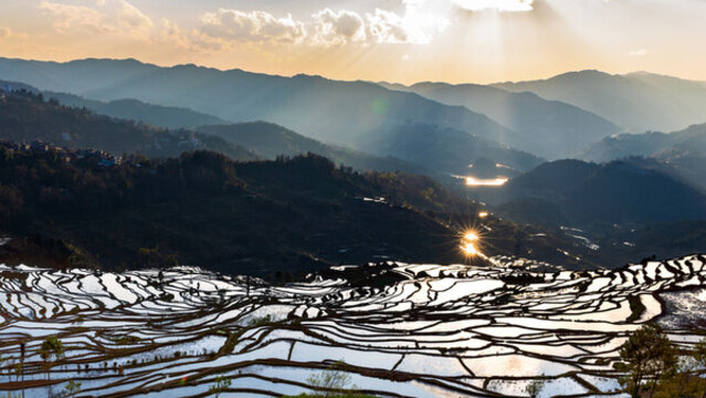 元陽甲寅梯田