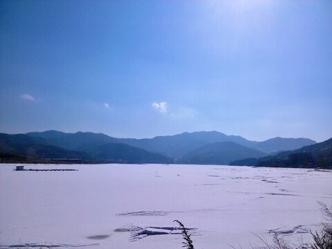 藍山白雪