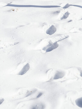 冬季雪地上的腳印