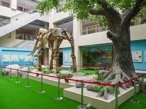 慶陽(yáng)市博物館