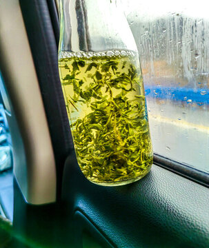 一杯綠茶