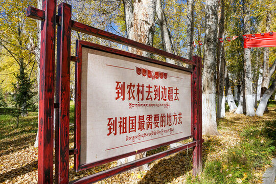 西藏拉薩林周農(nóng)場