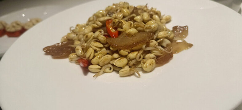 海參炒豆芽