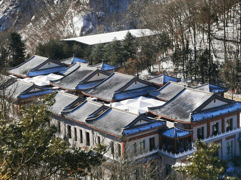 樓房落雪