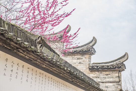梅花與徽派建筑