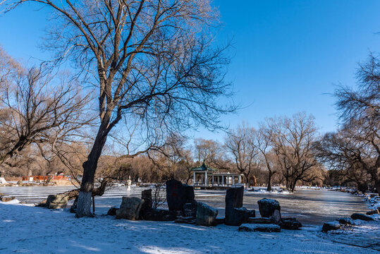 冬天雪后中國(guó)沈陽北陵公園
