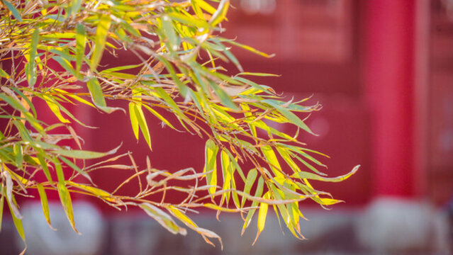 紹興龍華寺