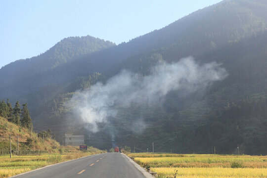 稻田煙霧