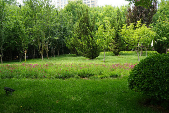 生態(tài)公園