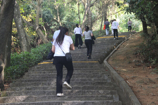 廣東東莞大王山森林公園