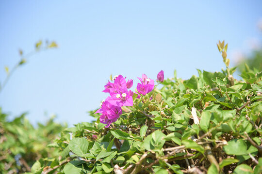 廣東東莞清溪公園