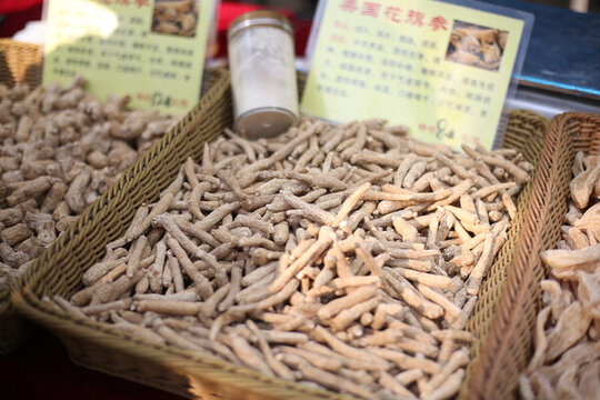 花旗參高清攝影圖