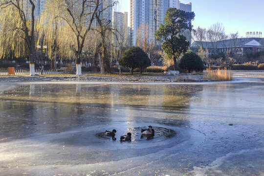 北京國(guó)際雕塑公園