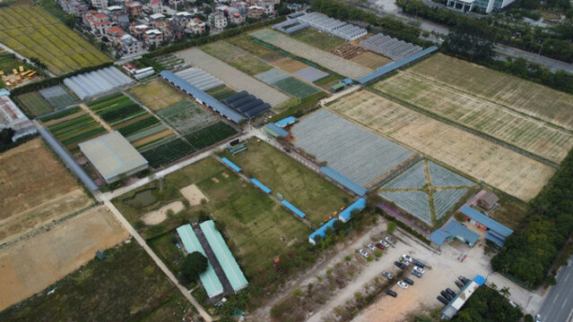 廣東東莞維康生態(tài)園