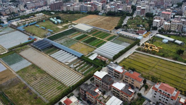 廣東東莞維康生態(tài)園