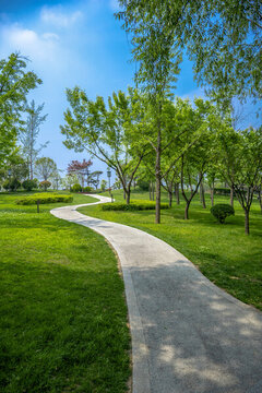 公園道路