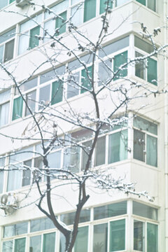 冬日小區(qū)