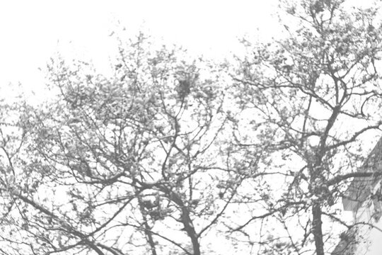 小區(qū)雪色